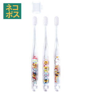 [102`27 P20{]uV q Zbg ǂ 3{ 炩 nuV  ₷ qp XP[^[ TBCR5T pE pg[ pEpg j̎q jq jyLN^[ ct ۈ牀