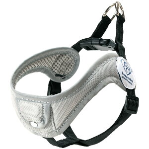 [102`27 P20{]# ₷ n[lX S ^p ybg ^ U  ObY pi XP[^[ skater PTHV30 j̎q ̎q jq q IX X Y y񂿂   