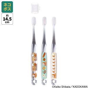 [`12317܂ P20{]# uV q Zbg ǂ 3{ 炩 nuV  ₷ qp skater XP[^[ TBCR5T pǂڂ Hς G{L j̎q ̎qyLN^[