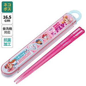  Zbg HΉ  R Jg[ ٓ  skater q P[X XP[^[ ABS2AMAG pE pg[ GIRL pEpg j̎q jq jyJg[Zbg Jg[P[X Wt