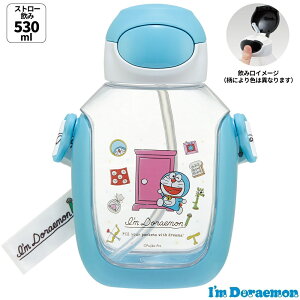 Xg[ ^b`  530ml vbV LbY q }O Xg[t skater XP[^[ PDSH6DX h ǂ炦 j̎q ̎q jq qyXg[  NA 퉷 