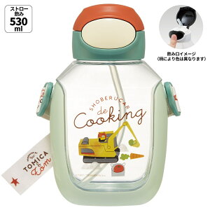 [`1118 P10{]Xg[ ^b`  530ml vbV LbY q }O Xg[t skater XP[^[ PDSH6DX g~Jƃg ObY ^Jg~[ ނς N}yXg[  