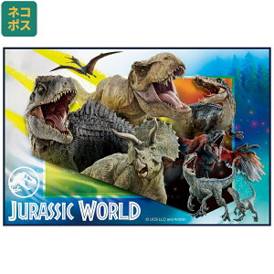 [`1118 P20{]# W[V[g sNjbNV[g q  RpNg lp ǂ  skater XP[^[ VS1 WVbN[h 24N  JW j̎q jqyy LN^[ Ob