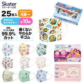 [14日～20日 P15倍]不織布 マスク プリーツ マスク 25枚入り キャラクター 子供 不織布マスク skater スケーター MSKP25 パウパトロール すみっコぐらし プリンセス【子ども 子供用 息がしやすい 幼稚園 保育園 かわいい 柄】