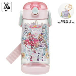  LbY ^b` vX`bN Xg[ {g NA 480ml skater XP[^[ PDSH5 v 񂾂ӂՂ肫゠! vLA ̎qyLN^[ q 킢 vbV y