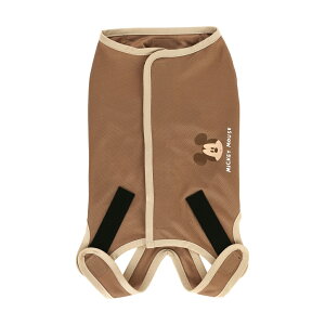 [`1118 P10{]# ybgp p㕞  j̎qp 4 w b w Ƃ J PETCM2 XP[^[ skater ~bL[}EX ~bL[ Mickeyy R L p EFA  񂿂