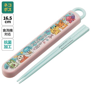 [`121110܂ P20{]# Zbg HΉ  R Jg[ ٓ  skater q P[X XP[^[ ABS2AMAG |PbgX^[ |P sJ`E |bsOyJg[