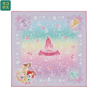 [`12317܂ P15{]#  `NX 43cm ٓ   ȒP ֗ LN^[  XP[^[ skater KBST43 fBYj[ vZX ̎q qy` NX ΂ J