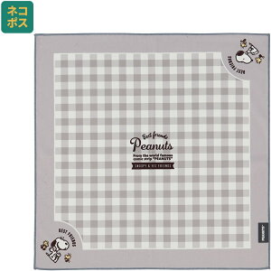[102`27 P15{]#  `NX 43cm ٓ   ȒP ֗ LN^[  XP[^[ skater KBST43 Xk[s[ SNOOPY s[ibc  fB[Xy` NX ΂ 