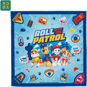 [123`11 P15{]#  `NX 43cm ٓ   ȒP ֗ LN^[  XP[^[ skater KBST43 pE pg[ pEpg j̎q jq jy` NX ΂ 