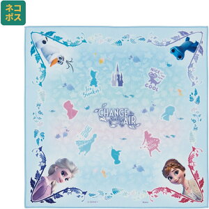 [102`27 P15{]#  `NX 43cm ٓ   ȒP ֗ LN^[  XP[^[ skater KBST43 AiƐ̏2 Ai fBYj[ ̎q qy` NX 