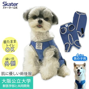 [102`27 P10{]ybgp p㕞  j̎qp 3 4 5 6 lCr[ w b w Ƃ J PETCM1-4 XP[^[ IX Yy R L p EFA  񂿂 