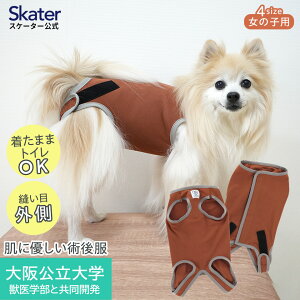 [`1118 P10{]ybgp p㕞  ̎qp 3 4 5 6 uE w b w Ƃ J PETCF1-4 XP[^[ X y R L p EFA  񂿂 