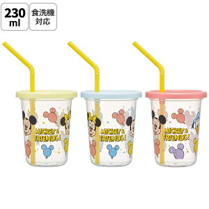 [102`27 P20{]Xg[tRbv 3 Zbg Xg[ Rbv ^u[ Wt ڂȂ skater XP[^[ SIH2ST D ~bL[}EX ~bL[ Mickey j̎q ̎qyXg[t 