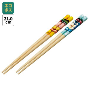 [`1118 P20{]#  q | 21cm 2_ Zbg  ͂ ǂ qǂ qp | skater XP[^[ ANT4W v[A(~j) E[(~j) hS{[ DAIMA _C} DByLN^[ ct 