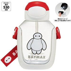 [`12317܂ P10{]Xg[ ^b`  530ml vbV LbY q }O Xg[t skater XP[^[ PDSH6DX xC}bNX 25N fBYj[ Disney j̎q ̎qyXg[ 