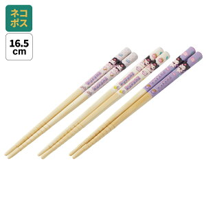 [`1118 P20{]#  q 킢 Zbg qǂ  3V Zbg qp | ct skater XP[^[ ANT2T N~ N~ TI ̎q qyLN^[ v[g 