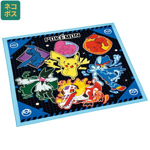 [`1118 P20{]# `NX C~ NX LN^[ `}bg ٓ ٓ skater KB4 XP[^[ |PbgX^[ 25N |P sJ`E j̎qy` Lb