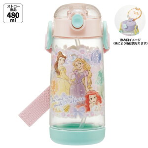 [`12317܂ P10{] LbY ^b` vX`bN Xg[ {g NA 480ml skater XP[^[ PDSH5 v fBYj[ vZX 25N ̎q qyLN^[ q 