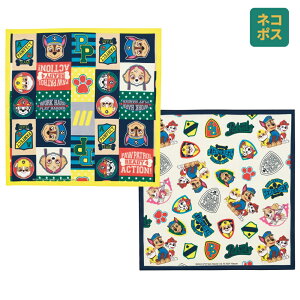 [`1118 P10{]# `NX 2 Zbg C~ NX ٓ L `}bg skater KB4WN XP[^[ pE pg[ pEpg j̎q jq jyٓ wZ ` Lb