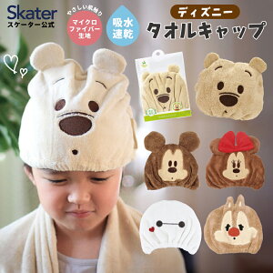 [`12317܂ P10{]^ILbv q XC~O LbY z ^I skater }CNt@Co[ XP[^[ TOC11 fBYj[yz C C v[ Cオ 킢 Mt