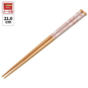 [`1118 P20{]#  21cm Zp ͂ l q 킢 qǂ  ؔ LN^[ XP[^[ skater ANNHE4 LeB n[LeB LeB ̎qyׂɂ  LbY 