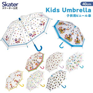 [`1118 P20{]rj[P LbY P qp 40cm J q y LN^[ skater XP[^[ UBV2 pEpg[ ̃J[rB g[}XyOXt@Co[ l[^O  v 