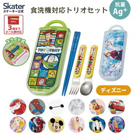 [〜8月11日まで P15倍]お箸セット スプーン フォーク セット 子供 ケース 日本製 カトラリーセット skater スケーター TACC2AG ディズニー【トリオセット 食洗機対応 箸 スプーンセット お箸】