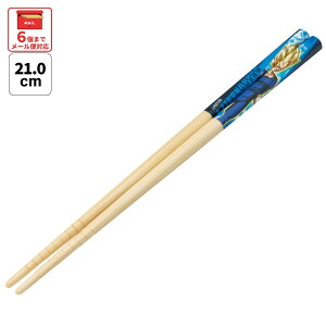 [`1118 P20{]#  q | 21cm 킢 v[g IV  LbY ObY skater XP[^[ ANT4 xW[^ hS{[ Z DB j̎q jqywZ LN^[ v[g