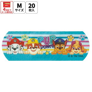 [`1118 P20{]# Jnp LN^[ h 20 M TCY ΂񂻂  q qǂ XP[^[ skater QQBG2 pE pg[ pEpg j̎q jq jyLbY o\ERE 