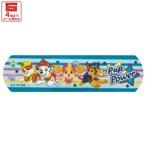 [`1118 P20{]# Jnp LN^[ h 20 L TCY ΂񂻂  q qǂ XP[^[ skater QQBG3 pE pg[ pEpg j̎q jq jyLbY o\ERE 