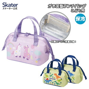 [123`11 P20{] XP[^[ ۗ ` obO ܌ qٓp ٓ ΂  skater KGA0fBmTEX gjR[ y`obN ۗobO A~ L j