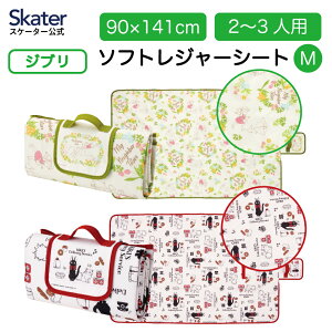 [`1118 P15{]\tg W[V[g M 2`3lp NbV  RpNg  傫 X^WIWu XP[^[ SVS15y2lp 3lp 唻 A~ y \tgNbV LN