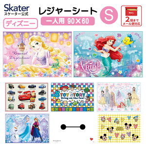 [102`27 P20{]W[V[g sNjbNV[g q  RpNg lp ǂ  skater XP[^[ VS1 fBYj[yy LN^[ ObY rj[ h  킢