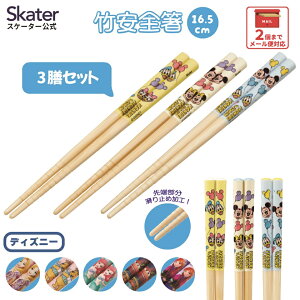 [`1118 P20{] q 킢 Zbg qǂ  3V Zbg qp | ct skater XP[^[ ANT2T fBYj[yLN^[ v[g ۈ牀 ͂ ͂ nV nV |