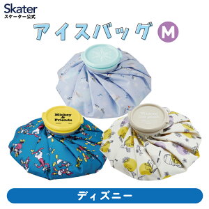 [`1118 P20{]XX X|[c MTCY X̂ Ђ傤̂ LN^[ q qǂ LbY ACXobO ₷ p X|[cpi M fBYj[ skater XP[^[ ICB2y~bL[ v[