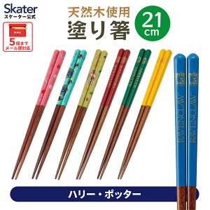 [`12317܂ P20{]h蔢 21cm  l  v[g h ׂȂ ؐ ~ skater XP[^[ ANN4SQ n[|b^[ynV Mtg  킢 p` H ObYz