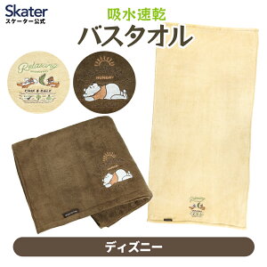 [`1118 P20{]oX^I z 60×120cm  Mtg qǂ xr[  LN^[ skater XP[^[ BBT1 fBYj[  fB[Xy킢 q j  ^I TE