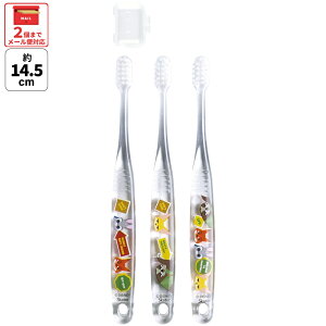 [`12317܂ P20{]# uV q Zbg ǂ 3{ 炩 nuV  ₷ qp skater XP[^[ TBCR5T Y[gsA by jbN WfB fBYj[yLN^