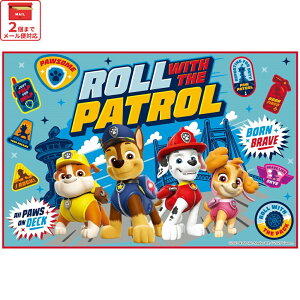 レジャーシート ピクニックシート 子供 遠足 コンパクト 一人用 こども 薄手 skater スケーター VS1 パウ パトロール 24年 パウパト 男の子 男子 男児【軽量 キャラクター グッズ ビニール 防水