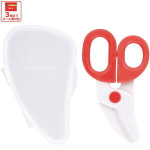 [`1118 P20{]# H t[hJb^[ HnT~ xr[t[hJb^[ P[Xt Ԃ skater XP[^[ BFC1  bh j̎q ̎q jq q j  j y͂ L