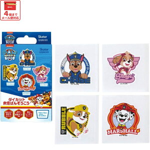 [`1118 P20{]# _CJbg Jnp LN^[  20  ΂񂻂 q qǂ XP[^[ skater QQBD20 pE pg[ pEpg j̎q jq jyLbY o\ERE 