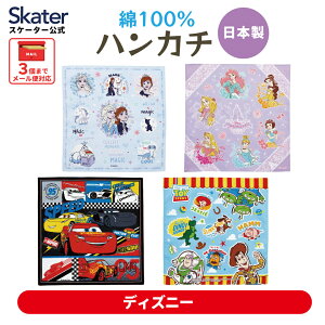 [123`11 P20{]nJ` 30×30cm q qǂ qp LbY LN^[ ۈ牀 ct skater XP[^[ HKC30 fBYj[yw 100 { Mtg v[gz