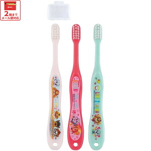 [`12317܂ P20{] uV 3{ Zbg q LN^[ ͂Ԃ炵 qp LbY Lbvt XP[^[ TB5ST pE pg[ pEpg j̎q jq jyuVZbg 