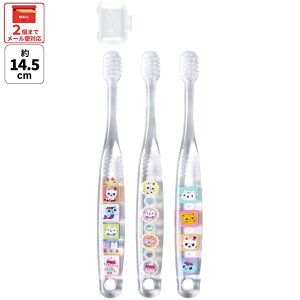 [123`11 P20{]# XP[^[ uV q Zbg ǂ 3{ 炩 nuV  ₷ qp skater TBCR5T Mr[̃h[nEX Mr[ ̎q qyLN^[ ct