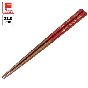 [`12317܂ P20{]# h蔢 21cm  l  v[g h ׂȂ ؐ ~ skater XP[^[ ANN4SQ n[|b^[ OtBh[ n[E|b^[ynV Mtg 