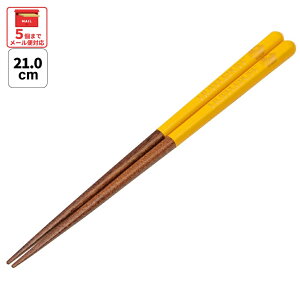 [`12317܂ P20{]# h蔢 21cm  l  v[g h ׂȂ ؐ ~ skater XP[^[ ANN4SQ n[|b^[ nbtpt n[E|b^[ynV Mtg 