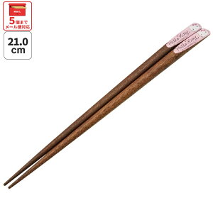 [`12317܂ P20{]# V킰  21cm ͂  V킰 V l 21cm LN^[ XP[^[ skater ANNTS4 LeB n[LeB LeB ̎qyؐ ׂȂ  킢