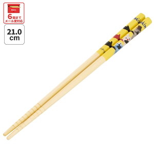 [`12317܂ P20{]# XP[^[  | 21cm H@Ή q 킢 v[g  LbY ObY skater ANT4C pybgXX XX mm ]] ObYywZ L