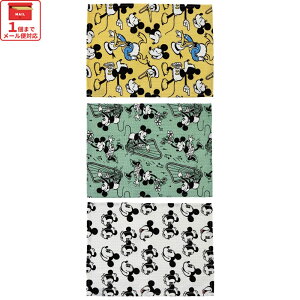 ӂELb`NX LN^[ 3Zbg ӂ z @ ӂ XP[^[ kfwc3yH@ NX tL btn 100% Rbg100%~bL[}EX ~bL[ Mickey j